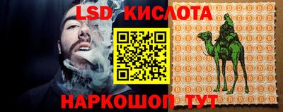 индика Аргун