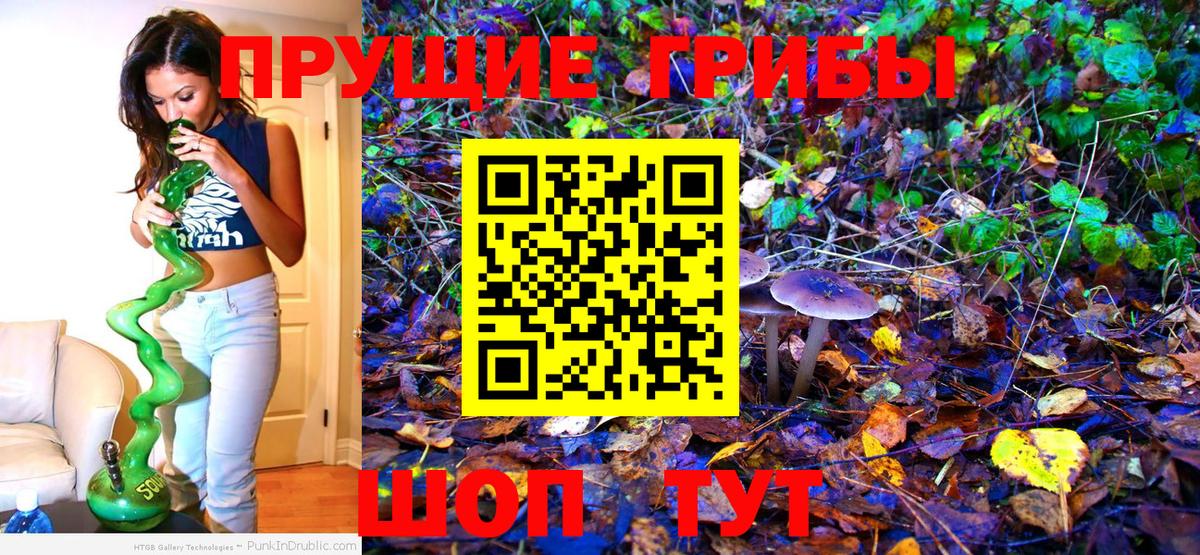Галлюциногенные грибы прущие грибы  Псилоцибиновые грибы GOLDEN TEACHER  Вход с VPN  Новомосковск 