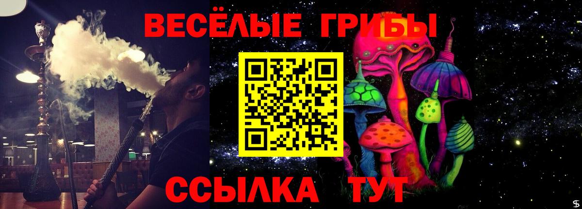 Псилоцибиновые грибы Magic Shrooms  Новомосковск 